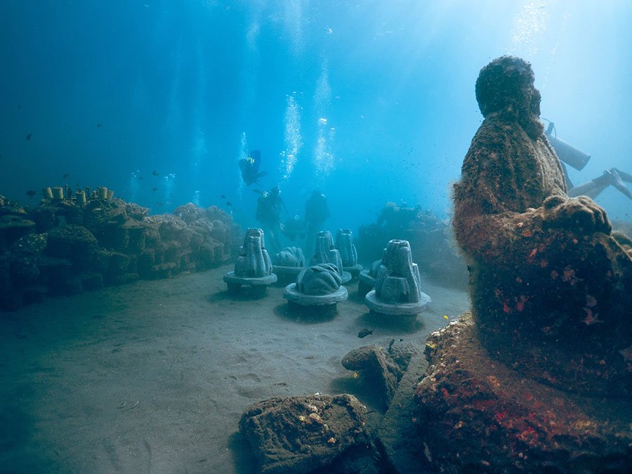 10 unique ideas for cremation ashes urn studios resting reef memorial ashes