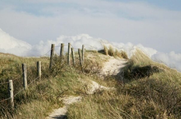 future of farewells path