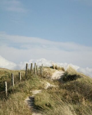 path to future