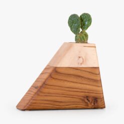 CC Boyce Studio Medium Californian Elm and Maple Plant Urn Cremation Urns for Ashes Urn Studios Handmade Wooden Planturn Cactus US