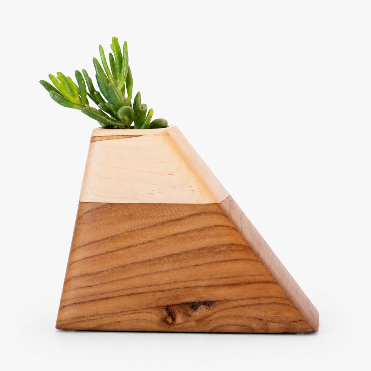 California Elm & Maple Medium Wooden Urn CC Boyce Studio Medium Californian Elm and Maple Plant Urn Cremation Urns for Ashes Urn Studios Handmade Wooden Planturn US