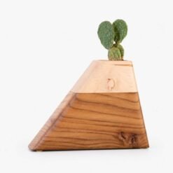 California Elm & Maple Medium Wooden Urn CC Boyce Studio Medium Californian Elm and Maple Plant Urn Cremation Urns for Ashes Urn Studios Handmade Wooden Planturn Cactus US