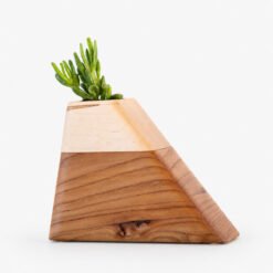 US Cremation Urns CC Boyce Studio Medium Californian Elm and Maple Plant Urn Cremation Urns for Ashes Urn Studios Handmade Wooden Planturn US