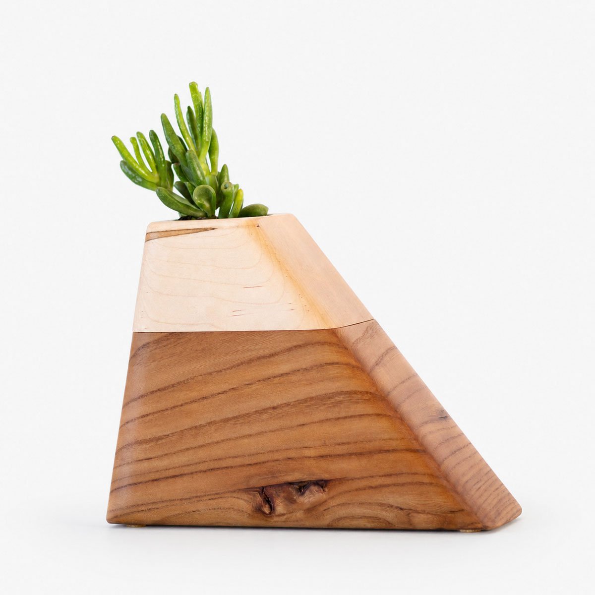 California Elm & Maple Medium Wooden Urn CC Boyce Studio Medium Californian Elm and Maple Plant Urn Cremation Urns for Ashes Urn Studios Handmade Wooden Planturn US