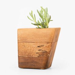 CC Boyce Studio Californian Sycamore Plant Urn Cremation Urns for Ashes Urn Studios Handmade Wooden Planturn US