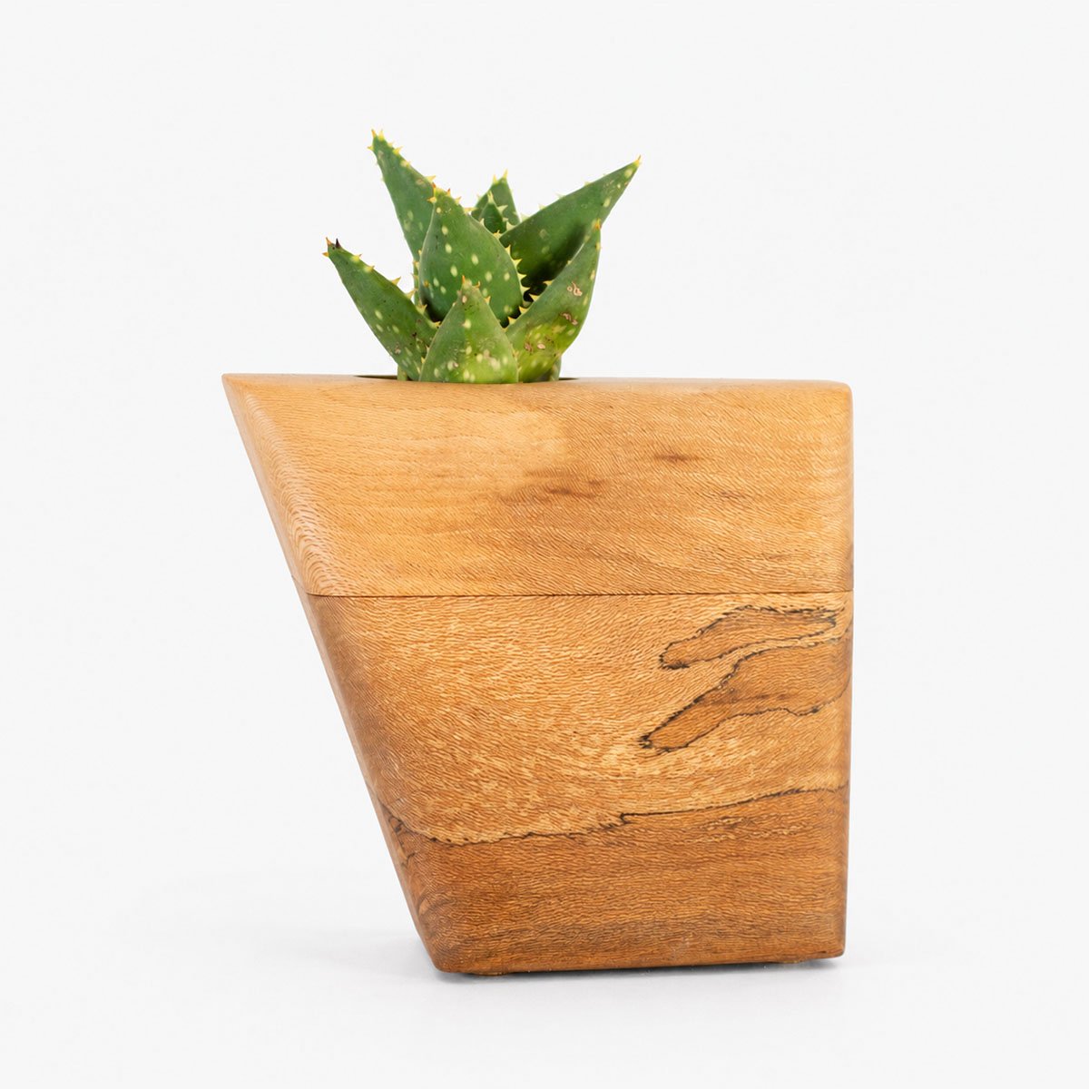 California Sycamore Keepsake Plant Urn CC Boyce Studio Californian Sycamore Plant Urn Cremation Urns for Ashes Urn Studios Handmade Wooden Planturn US
