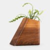 Walnut & California Elm Large Plant Urn CC Boyce Studio Walnut and Californian Elm Plant Urn Cremation Urns for Ashes Urn Studios Handmade Wooden Planturn US