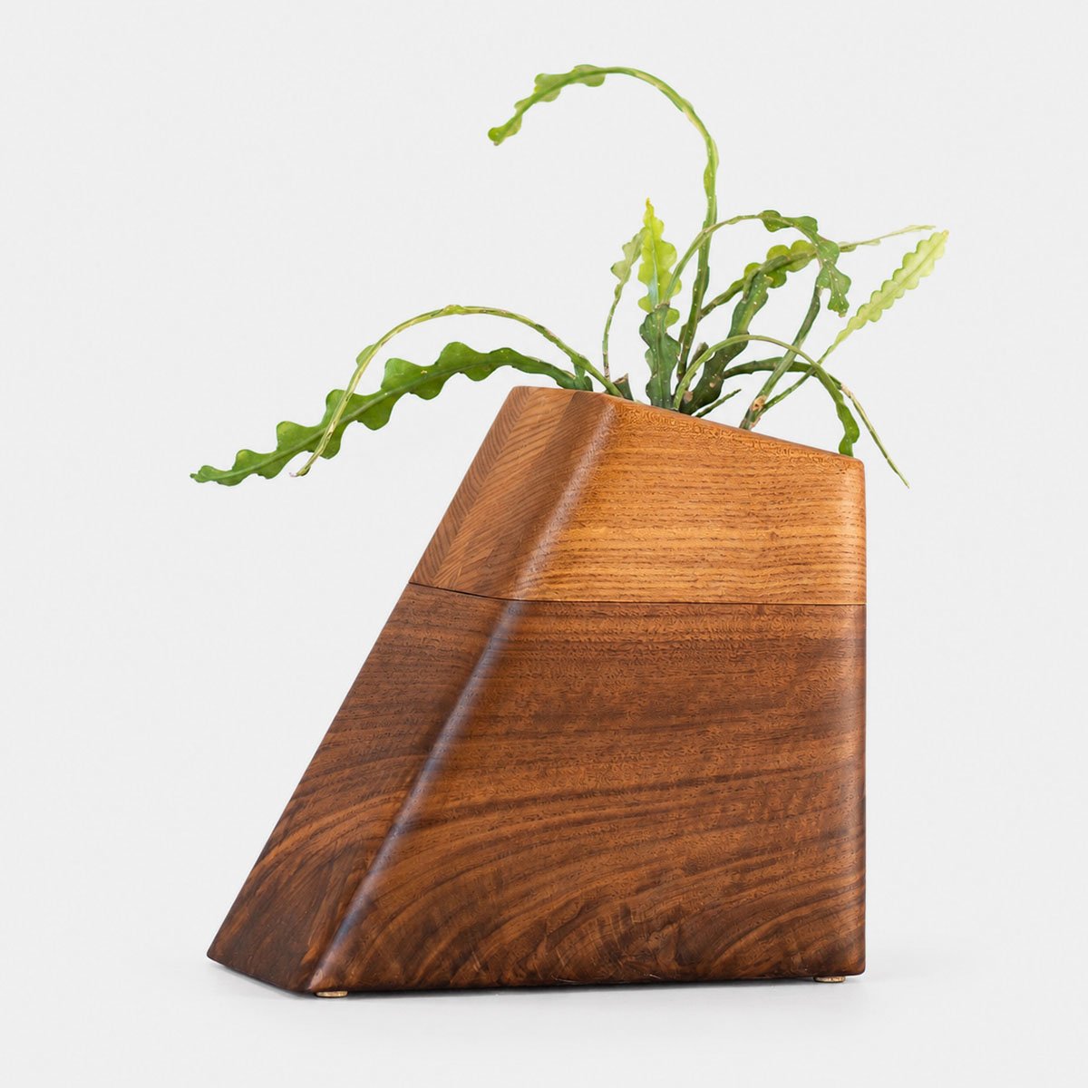 Walnut & California Elm Large Plant Urn CC Boyce Studio Walnut and Californian Elm Plant Urn Cremation Urns for Ashes Urn Studios Handmade Wooden Planturn US