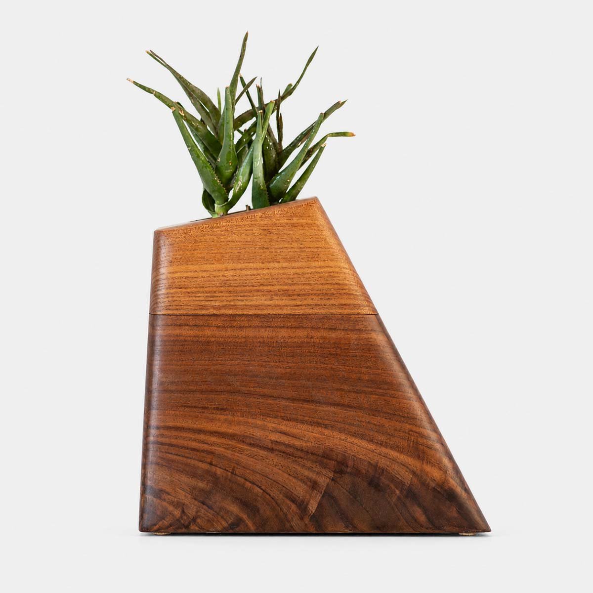 Walnut & California Elm Large Plant Urn CC Boyce Studio Walnut and Californian Elm Plant Urn Cremation Urns for Ashes Urn Studios Handmade Wooden Planturn US